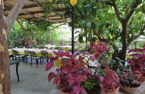 Agriturismo La Lobra - Foto 142