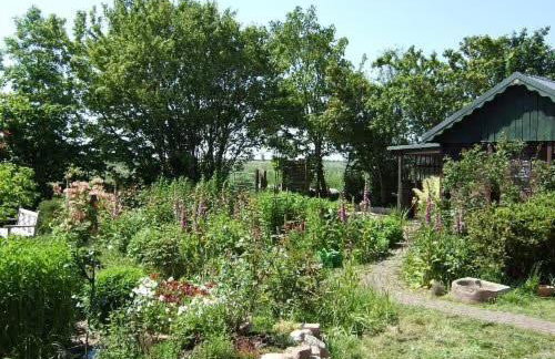 Reetdachhaus auf Eiderstedt - Foto 21