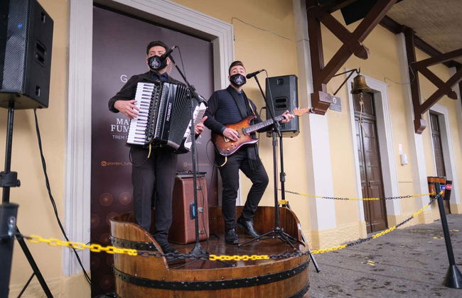 Maria Fumaça Train Ride & Garibaldi Winery Tour - Photo 3