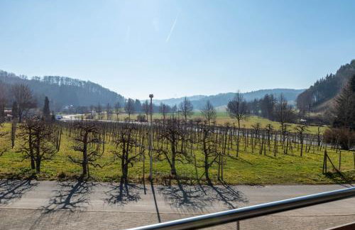 Obstgut Mit Herz Thomas Maier - Foto 45