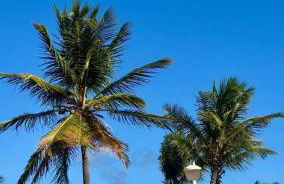 Vista Mar Incrível I Piscina com Borda Cobertura I Novo I Salvador - Ilha de Pharos - Photo 62