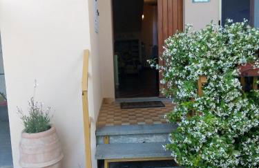 Il gelsomino del Perugino - Photo 7