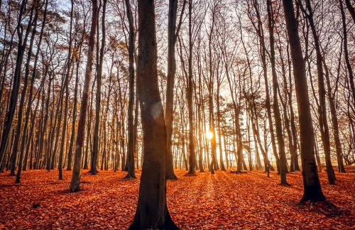 Ferienwohnung Sommerwind - Foto 30