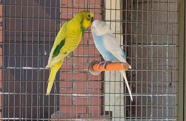 MUSEO GAR-AgriHotel - Foto 39