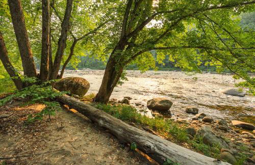 Private Adirondack Log Cabin, Hot Tub, Sauna & Swimming Hole, near Whiteface - Foto 43