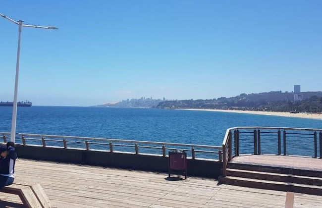 Viña del Mar - Photo 11