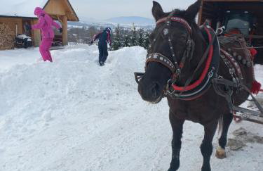 POD STARĄ PODKOWĄ komfortowy domek z kominkiem - Foto 20