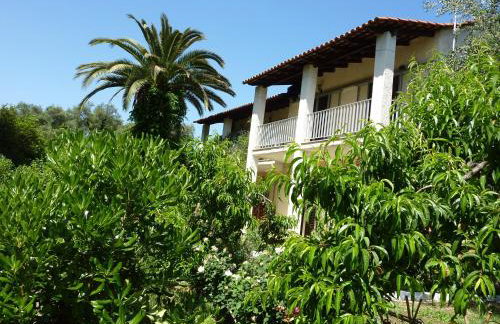 Petros Studios - Foto 29