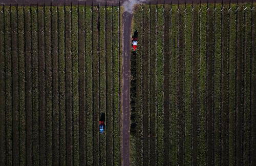 Villa Cavalletti Appartamenti - Foto 25