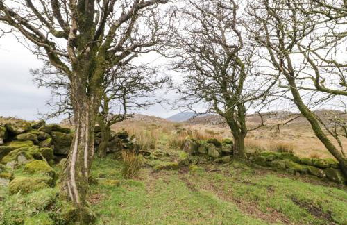 Ballard Cottage - Foto 20