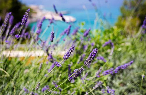 Blue Bay Residence - Foto 28