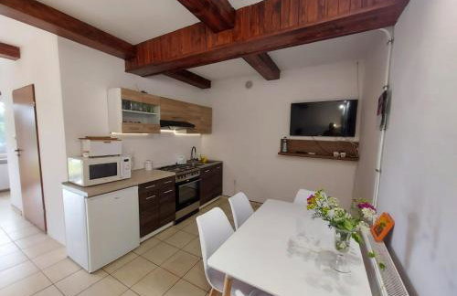 Mieszkanie nad jeziorem Rydzówka+prywatny staw+plaża+Mazury - Foto 26