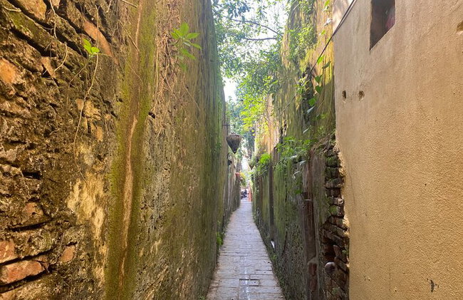 Hoi An Kulturelle Wanderung und Tagesboot Private Tour - Foto 3