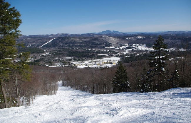 Okemo Westwood Condo 3 Bedroom Condo by RedAwning - Foto 39
