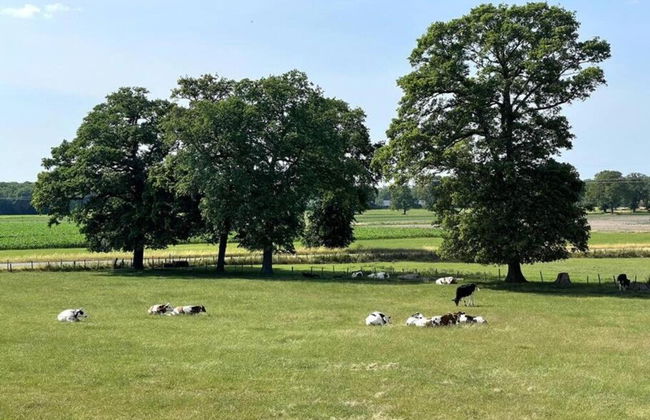 House on Water, Surrounded by Nature - Photo 13