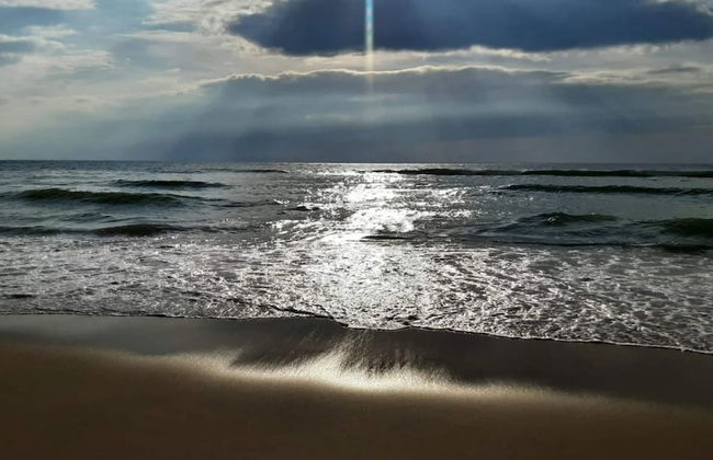 8 Person Holiday Home in Ulfborg - Foto 28