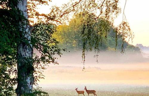 Meiks Ostseehütten - Foto 32