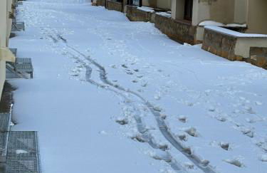 Casa ELENA i MARTA , Valdelinares - Foto 38