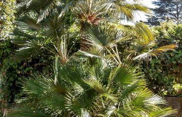 Rez de Villa Climatisé avec Jardin Privatif Domaine des Moulières - Foto 12