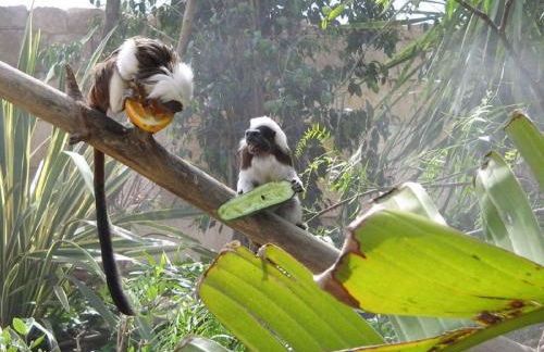 Ashanti Club Luxury Holiday Apartment - Photo 51