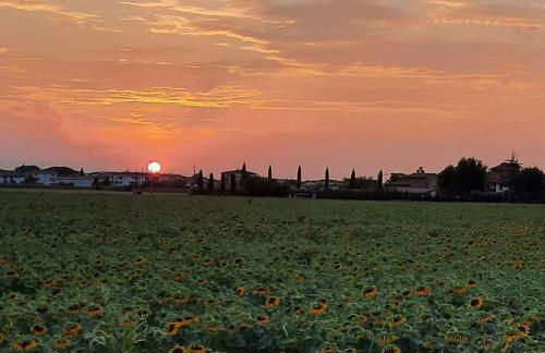 Casolare Isabella "Il rifugio dei vinili" and Alice's room - Foto 49