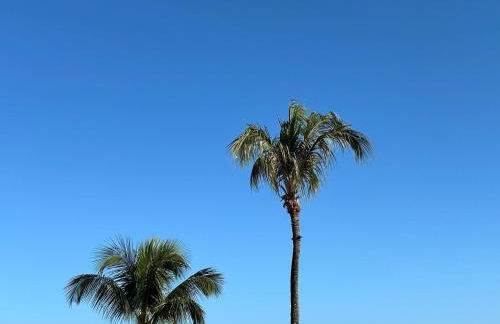 Pipa's Bay Apartamento - Sea View - Foto 11