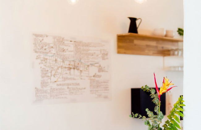 TROPICALIA by DW - Foto 32