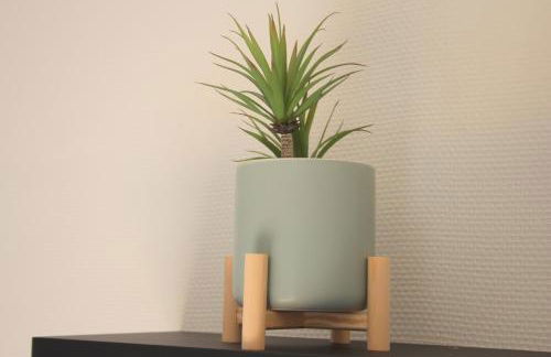 La Goélette - Foto 20