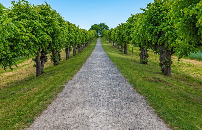 Attractive Apartment in Klütz near Sea - Foto 29