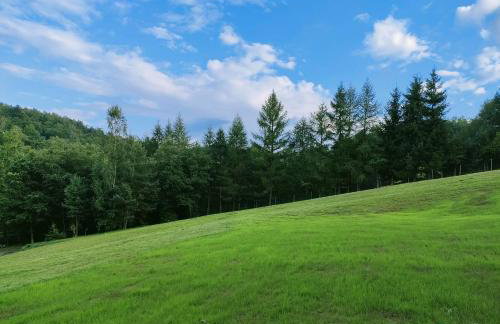 Kraina Rysia - Photo 20