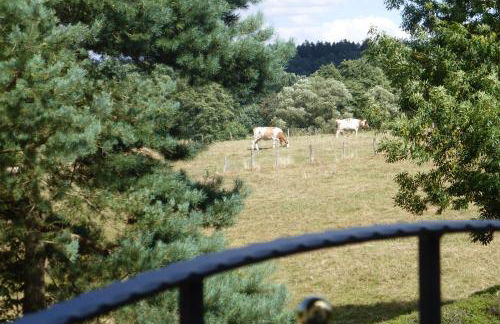 Ferienwohnung am Eifelsteig - Foto 48