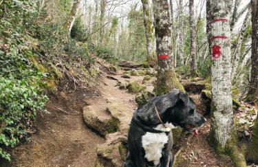 Villa Anna - Foto 32