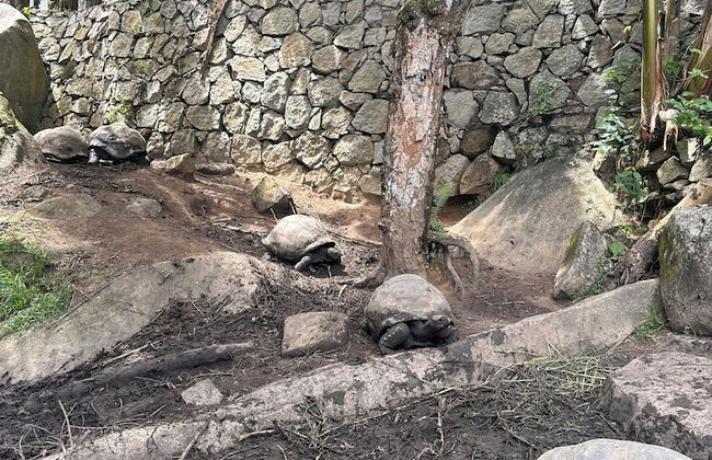 Koko Villas - Foto 34