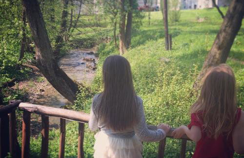 Zamek w Dzięgielowie - Foto 33