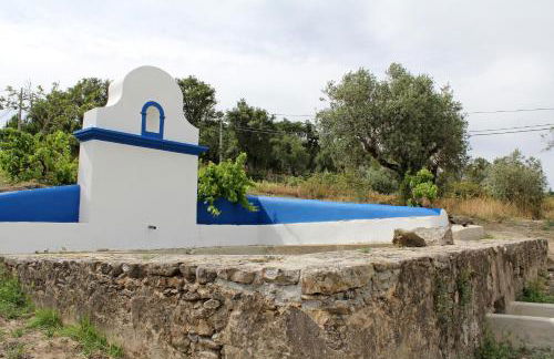 Cabeças do Reguengo - Foto 107