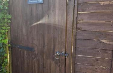 Treetops Lodge, private Cornish hideaway, parking, garden - Foto 17