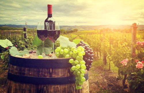 Ferienhaus Auszeit - Foto 33