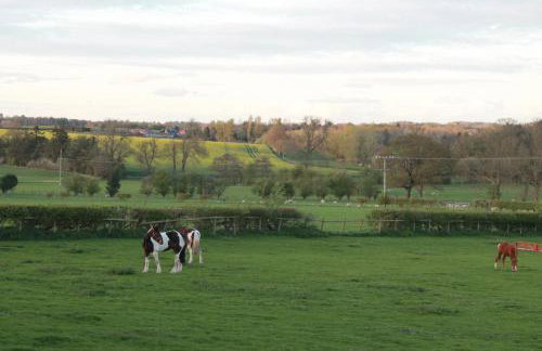 Off the Rails - Foto 6