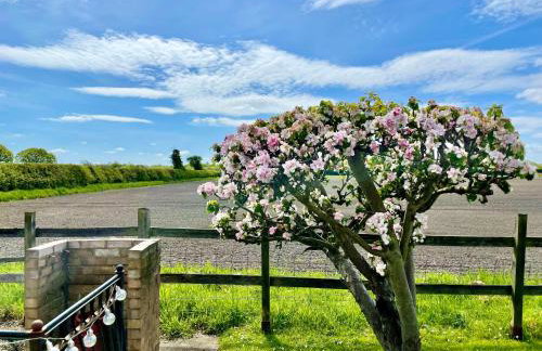 The Cottage - Foto 8