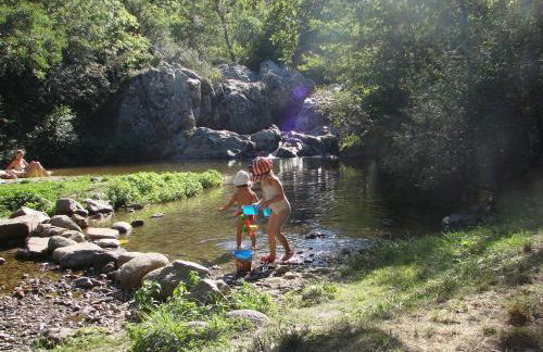 RIBES - Chalet Gîte au coeur de la nature - Foto 25