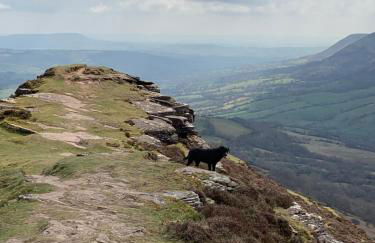 The Hayloft, Wall End Farm - Foto 18