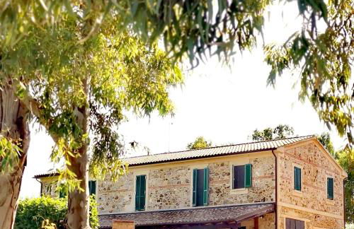 Fattoria Tolomei - Foto 8