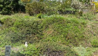 Ferienhaus - Villa kunterbunt - Foto 4, Garden view
