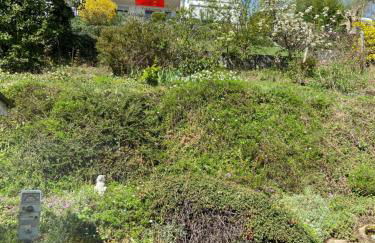 Ferienhaus - Villa kunterbunt - Foto 4