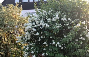 Ferienwohnung Weserberglandblick - Foto 45