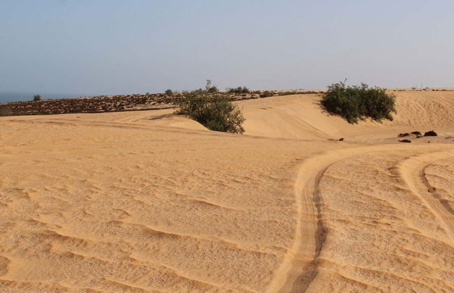 Day Trip to Tiznit + Desert Safari - Foto 3