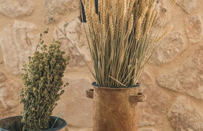 Adrias Villa Kefalonia - Foto 31