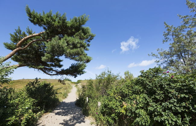 Ferienwohnungen Dünenmeer - Foto 69