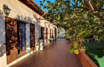 Da Caterina - Photo 2