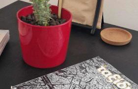 Kofinaki apartment 2 - Tychero Evros - Foto 17